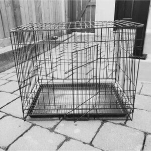 Wired Foldable Pet Crate- Medium